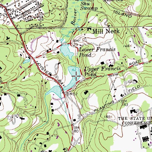 Topographic Map of Upper Francis Pond, NY