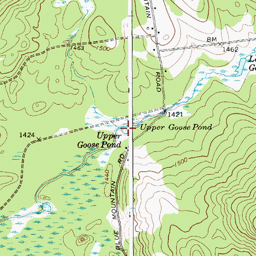 Topographic Map of Upper Goose Pond, NY