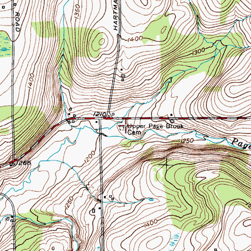 Topographic Map of Upper Page Brook Cemetery, NY