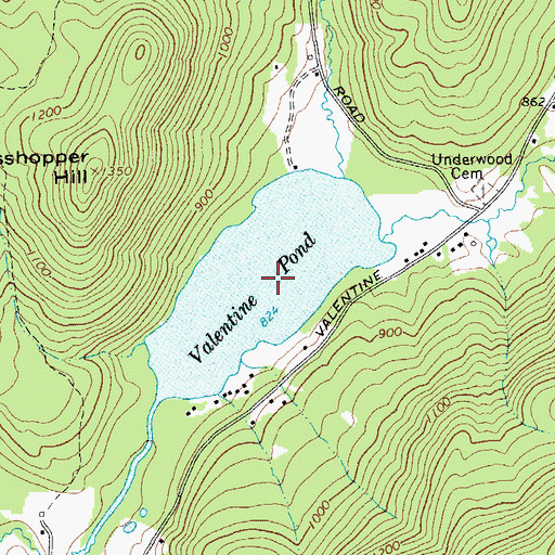 Topographic Map of Valentine Pond, NY