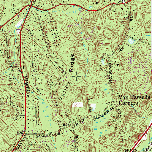 Topographic Map of Valley Ridge, NY