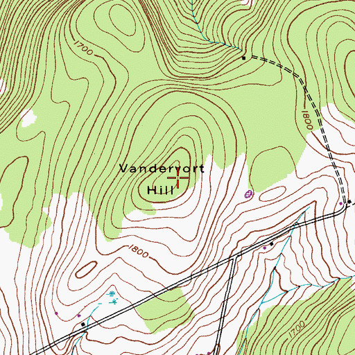 Topographic Map of Vandervort Hill, NY