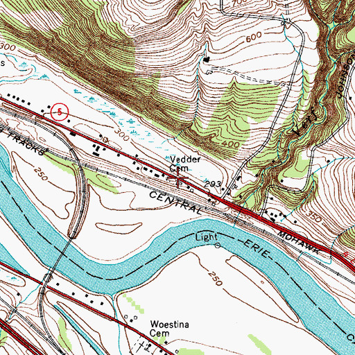 Topographic Map of Vedder Cemetery, NY
