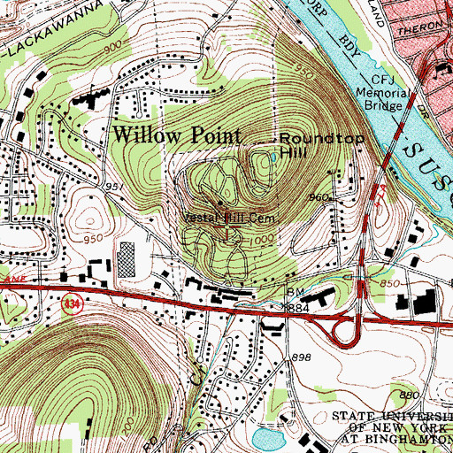 Topographic Map of Vestal Hill Cemetery, NY