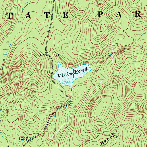Topographic Map of Viele Pond, NY
