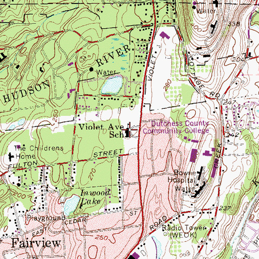 Topographic Map of Violet Avenue School, NY