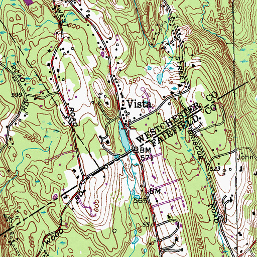 Topographic Map of Vista, NY