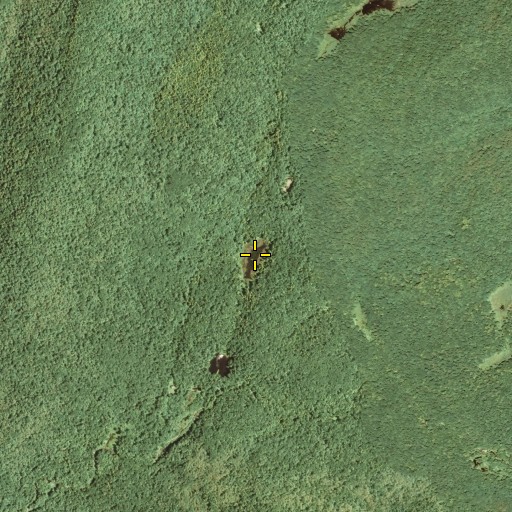 Aerial/Satellite Image of Vly Pond, NY