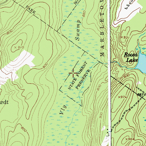 Topographic Map of Vly Swamp, NY