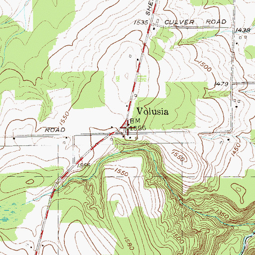 Topographic Map of Volusia, NY
