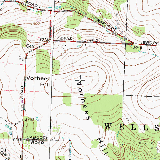Topographic Map of Vorhees Hill, NY