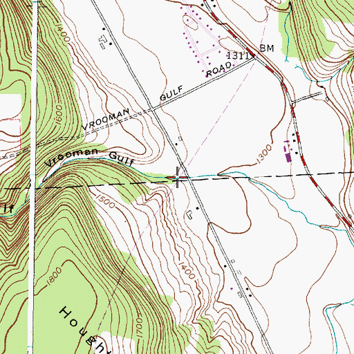 Topographic Map of Vrooman Gulf, NY