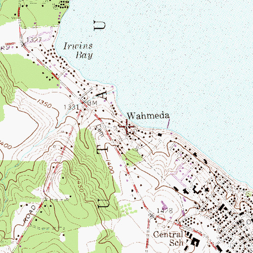 Topographic Map of Wahmeda, NY