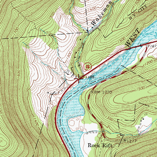 Topographic Map of Wakeman Brook, NY