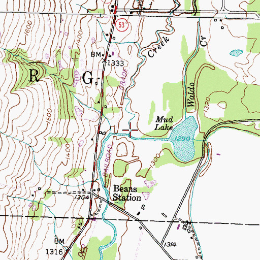 Topographic Map of Waldo Creek, NY