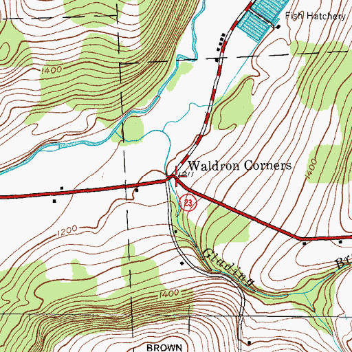 Topographic Map of Waldron Corners, NY