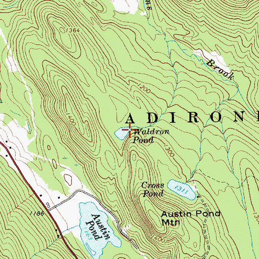 Topographic Map of Waldron Pond, NY