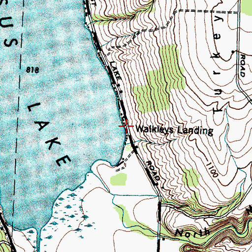 Topographic Map of Walkleys Landing, NY