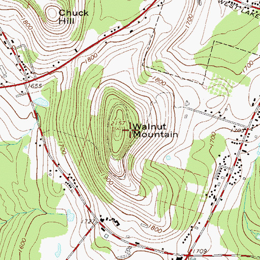 Topographic Map of Walnut Mountain, NY