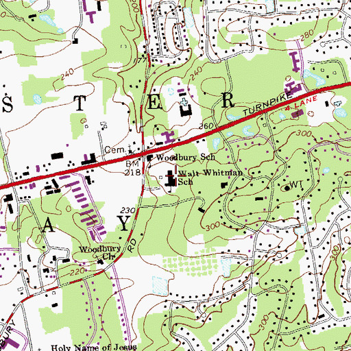 Topographic Map of Walt Whitman School, NY