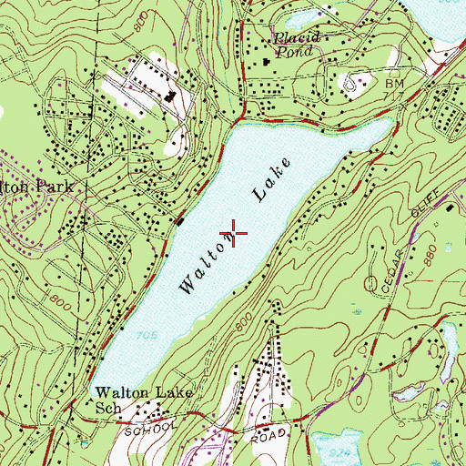 Topographic Map of Walton Lake, NY
