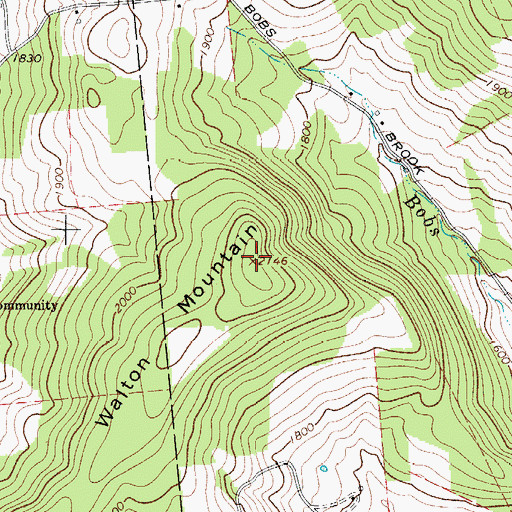 Topographic Map of Walton Mountain, NY
