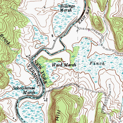 Topographic Map of Ward Marsh, NY