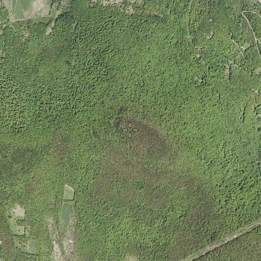Aerial/Satellite Image of Mount Warren, NY