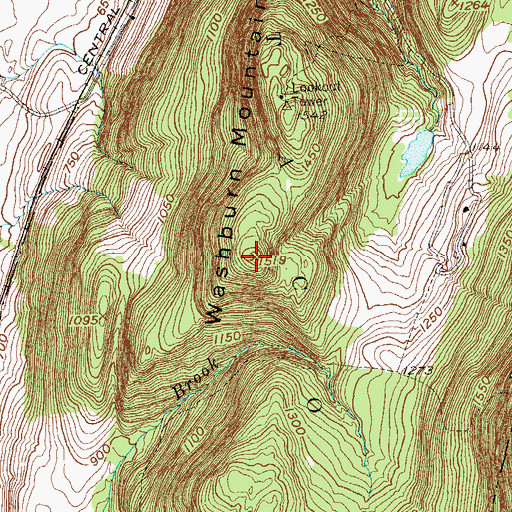 Topographic Map of Washburn Mountain, NY