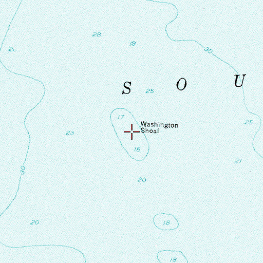 Topographic Map of Washington Shoal, NY