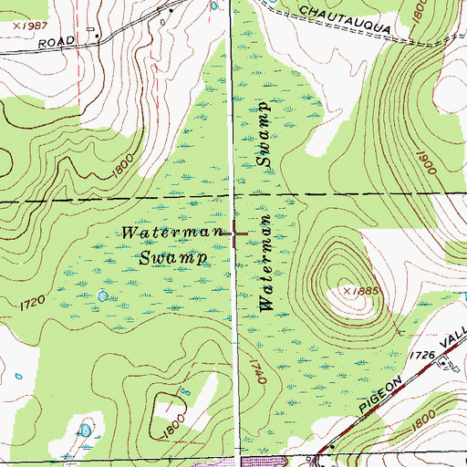 Topographic Map of Waterman Swamp, NY