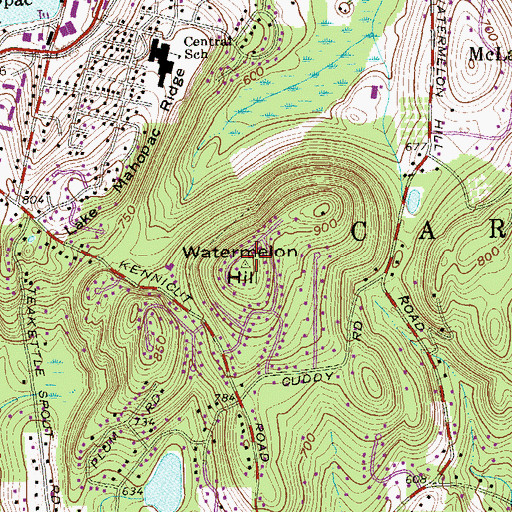 Topographic Map of Watermelon Hill, NY