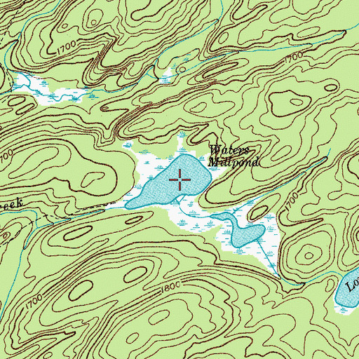 Topographic Map of Waters Millpond, NY