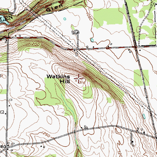 Topographic Map of Watkins Hill, NY