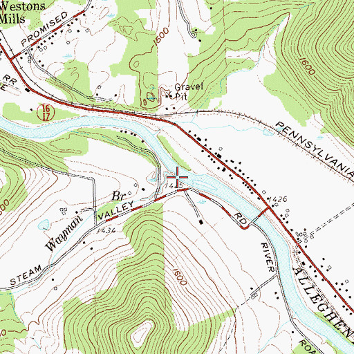Topographic Map of Wayman Branch, NY