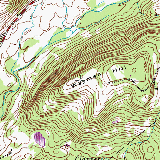 Topographic Map of Wayman Hill, NY