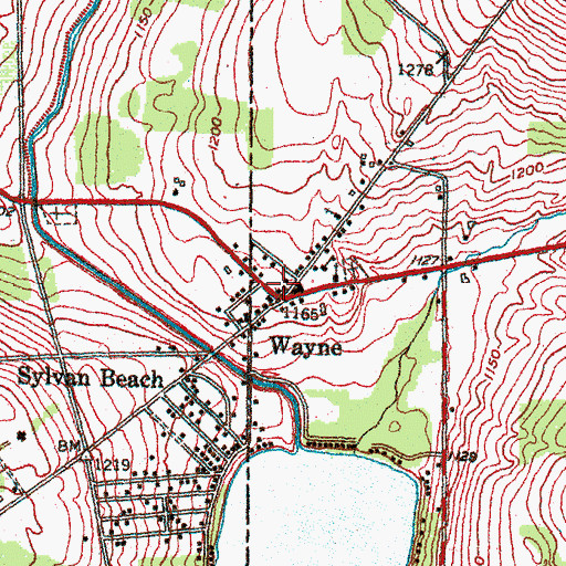 Topographic Map of Wayne, NY
