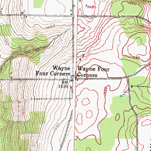 Topographic Map of Wayne Four Corners, NY