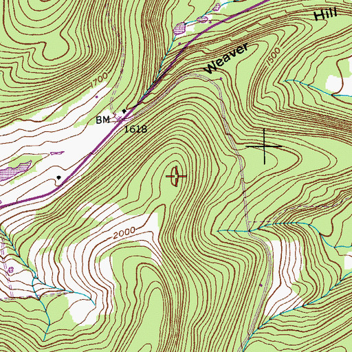 Topographic Map of Weaver Hill, NY