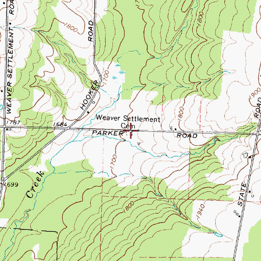 Topographic Map of Weaver Settlement Cemetery, NY