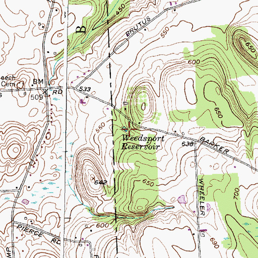 Topographic Map of Weedsport Reservoir, NY