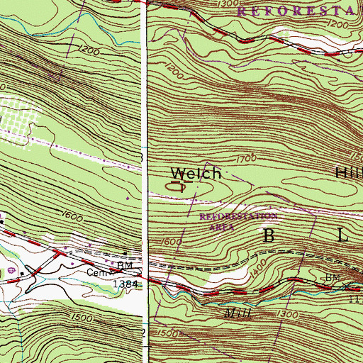 Topographic Map of Welch Hill, NY