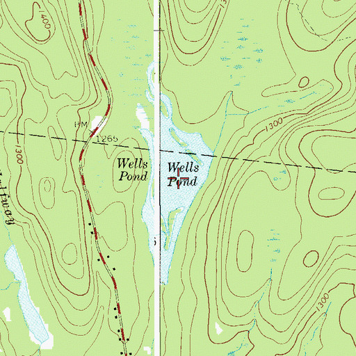 Topographic Map of Wells Pond, NY