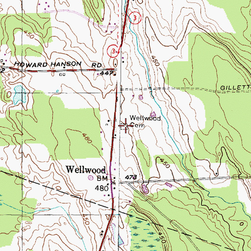 Topographic Map of Wellwood Cemetery, NY