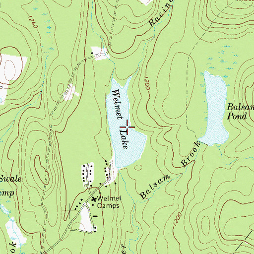 Topographic Map of Welmet Lake, NY