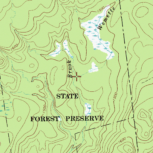 Topographic Map of Wemette Brook, NY
