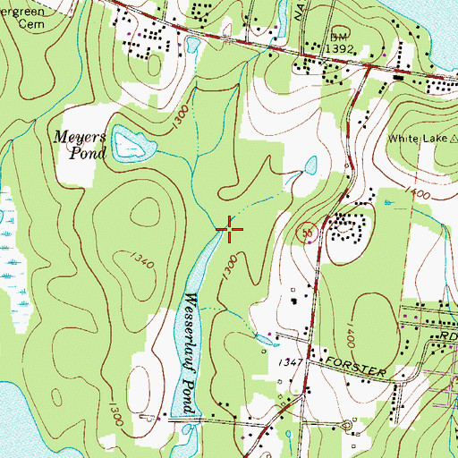 Topographic Map of Wesserlauf Pond, NY