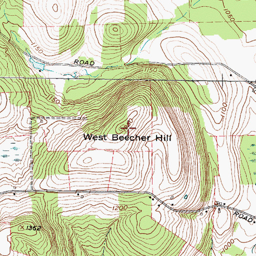 Topographic Map of West Beecher Hill, NY