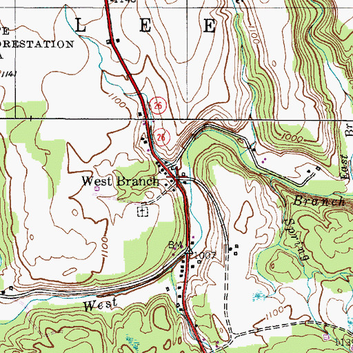 Topographic Map of West Branch, NY