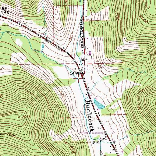 Topographic Map of West Branch Bucktooth Run, NY